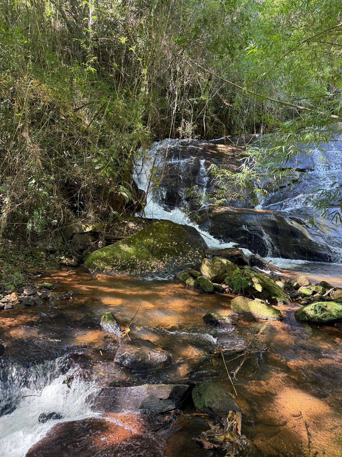 #1747 - Sítio para Venda em Joanópolis - SP