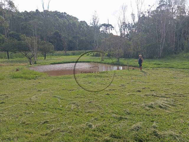 #1685 - Chácara para Venda em Nazaré Paulista - SP - 3
