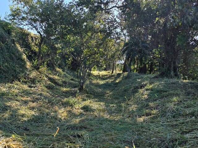 #1721 - Área para Venda em Joanópolis - SP - 3