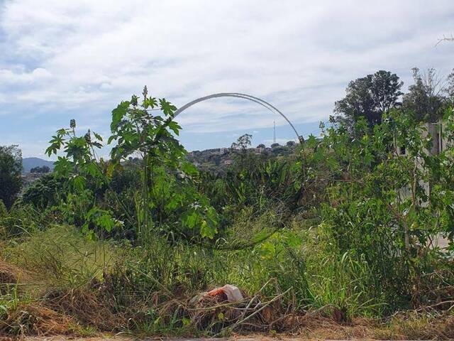 #1771 - Área para Venda em Atibaia - SP - 2