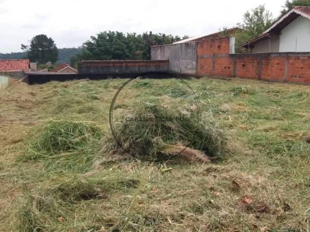 #1823 - Área para Venda em Atibaia - SP - 1