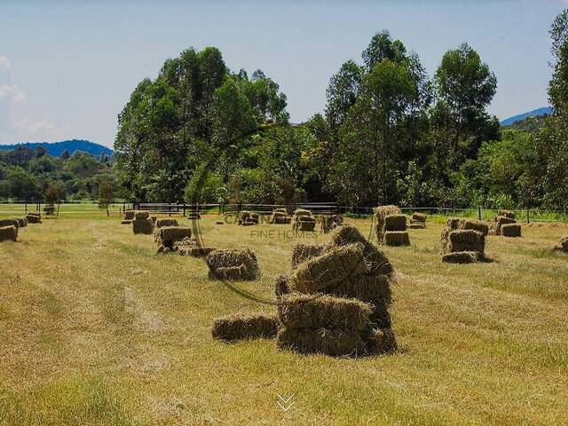 Haras para Venda em Bragança Paulista - 5