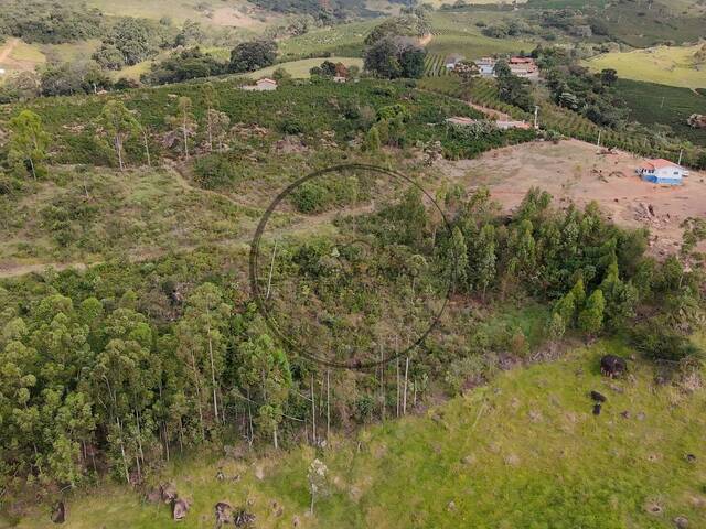 Sítio para Venda em Divinolândia - 2