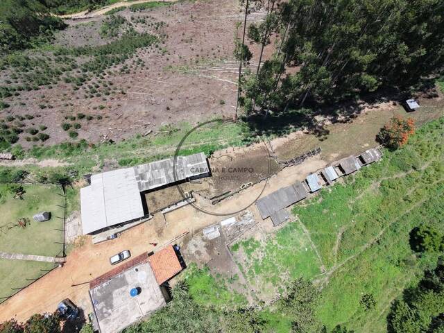 Sítio para Venda em Nazaré Paulista - 5