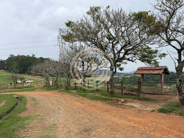 Haras para Venda em Piracaia - 5