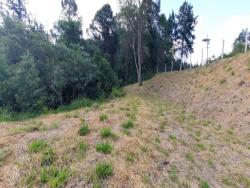 #1226 - Terreno em condomínio para Venda em Atibaia - SP - 3