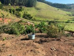 Sítio para Venda em Piracaia - 5
